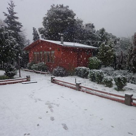 Puelche De Antuco Villa Buitenkant foto